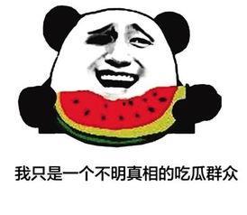 憨憨吃瓜群众  第1张