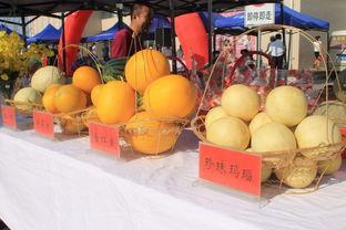 吃瓜王和瓜王一样吗,揭秘两者之间的异同  第2张