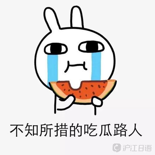 简单吃瓜的后续,揭秘娱乐圈背后的真相与风波  第2张