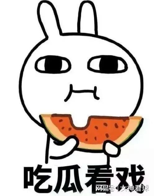 吃瓜的中国球,瓜田里的中国足球风云录  第2张