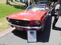 墨尔本车吃瓜,一场意外引发的全民热议  第1张