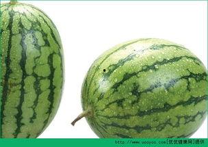 吃瓜过敏起红点 第3张 吃瓜过敏起红点 第3张