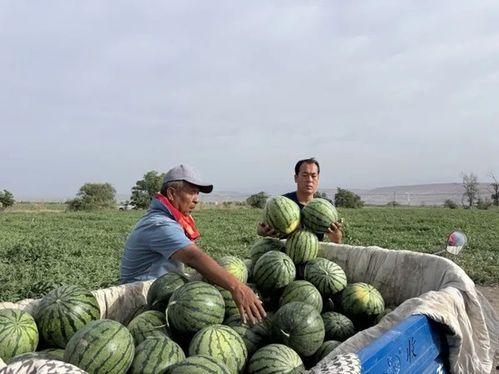 吃瓜第32天,揭秘娱乐圈背后的真相与秘密  第2张